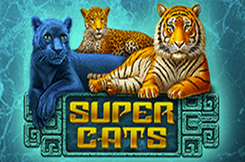 Automat SuperCats - kolorowy slot z kotami